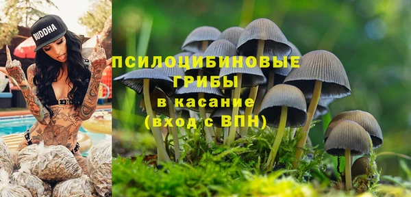 меф Беломорск